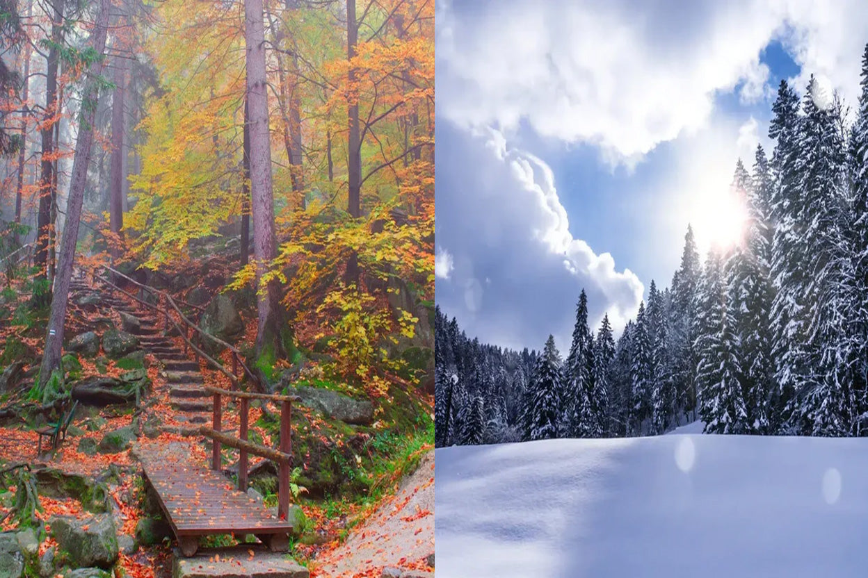 Fall & Winter