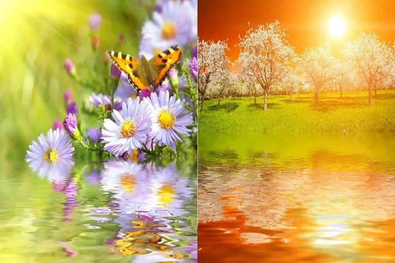 Spring & Summer
